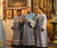 IMG_2117.jpg