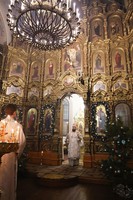 IMG_4229.jpg