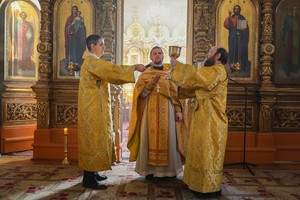 IMG_4737.jpg