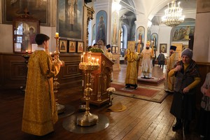 IMG_5233.jpg