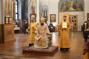 IMG_5224.jpg