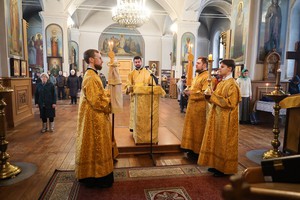 IMG_5264.jpg