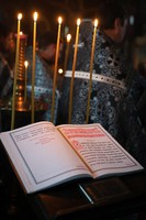 IMG_9706.jpg