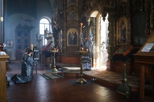 IMG_1529.jpg