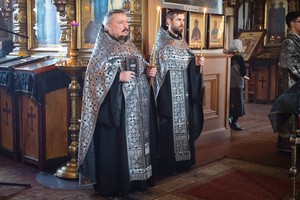 IMG_1337.jpg