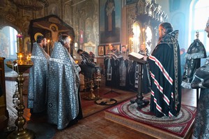 IMG_1384.jpg