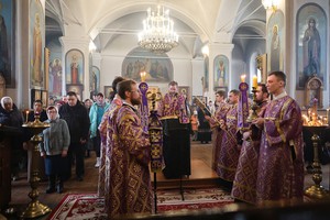 IMG_1232.jpg