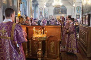 IMG_1310.jpg