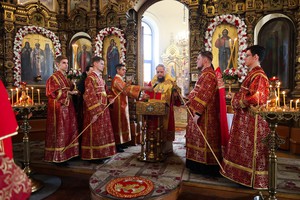 IMG_6781.jpg