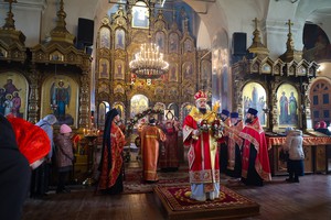 IMG_6748.jpg