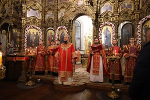 IMG_6575.jpg