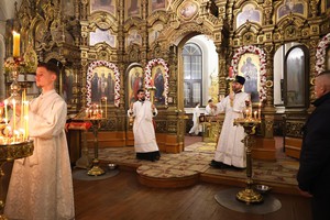 IMG_6362.jpg