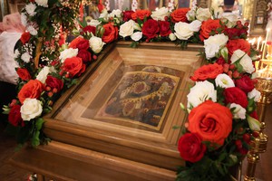 IMG_6375.jpg