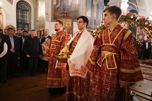 IMG_6515.jpg