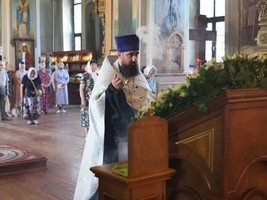 IMG_3213.jpg