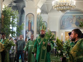 IMG_5062.jpg