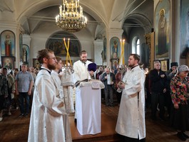 IMG_4734.jpg