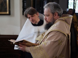 IMG_6395.jpg