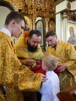 IMG_6570.jpg
