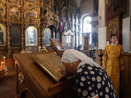 IMG_1781.jpg